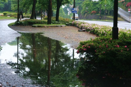 兼六園下・歩道の水溜り