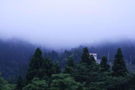 霧（ミント・レイノ）