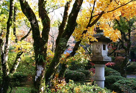 那谷寺 　紅葉