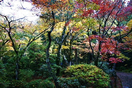 那谷寺  紅葉