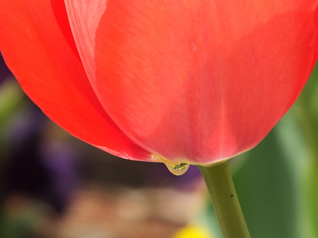 DSCF0207