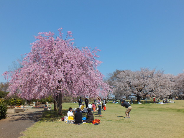 DSCF0079