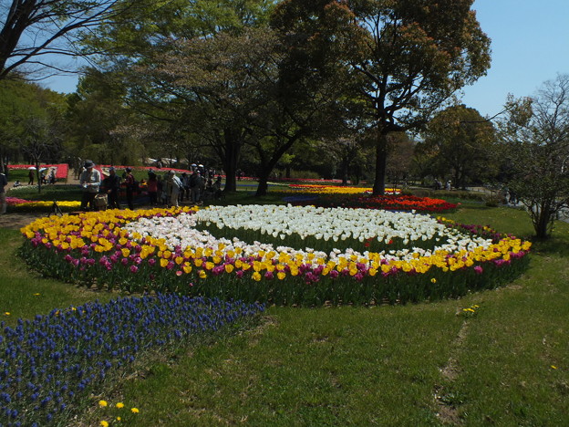DSCF0076