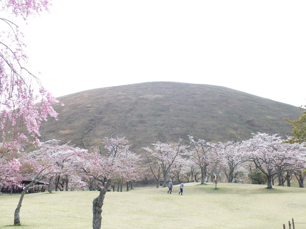 DSCF0308