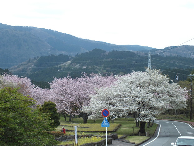 DSCF0422