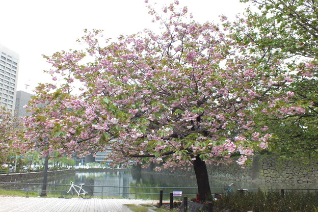 DSCF0272