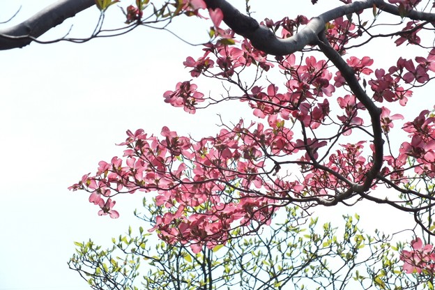 DSCF0162