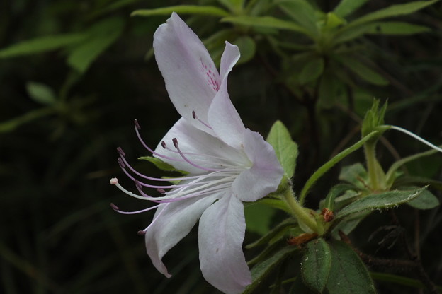 DSCF0211