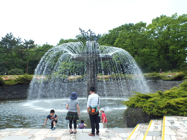 DSCF0271