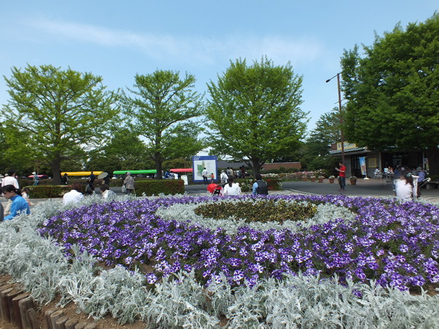 DSCF0316