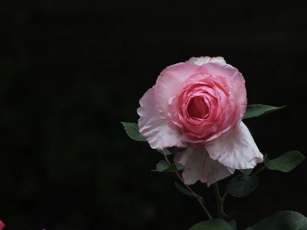 DSCF0741