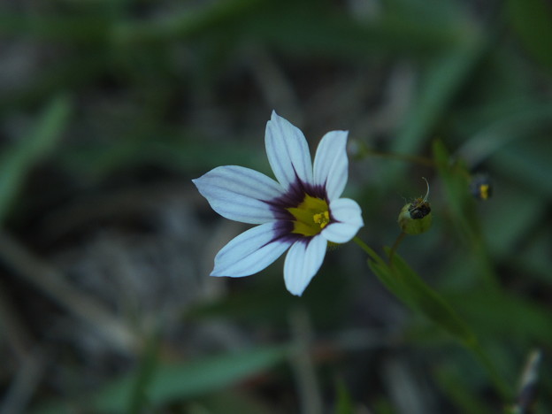 DSCF0054