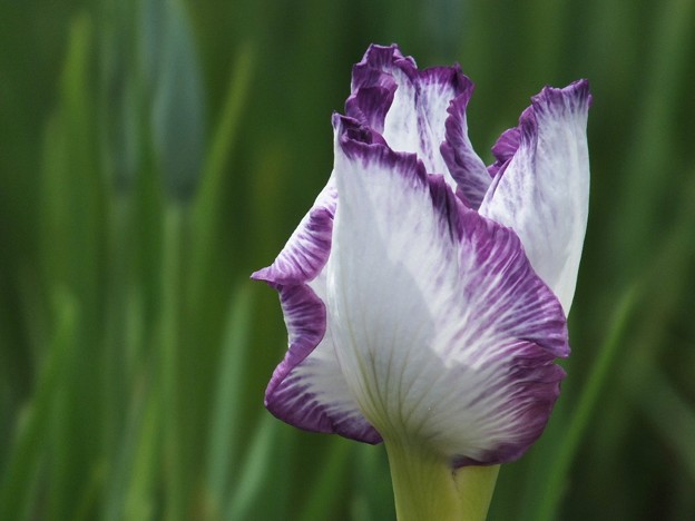 DSCF0326