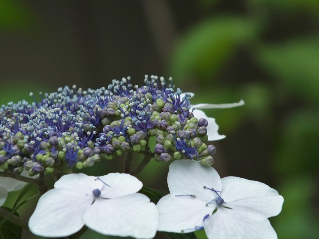 DSCF0032