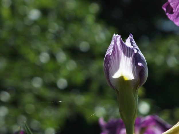 DSCF0211