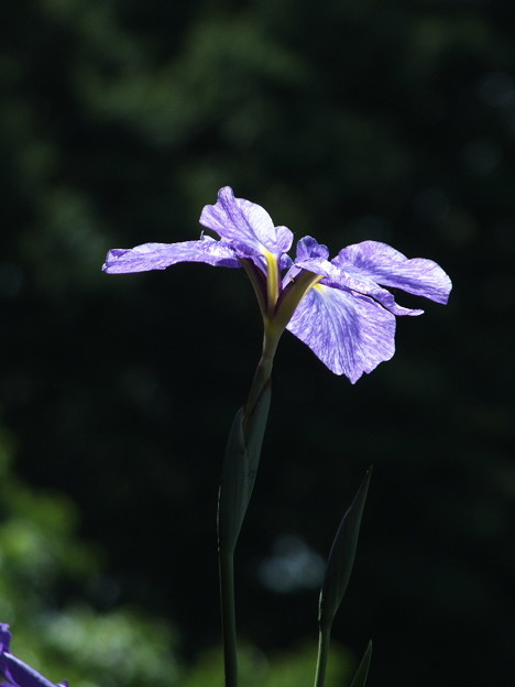 DSCF0234