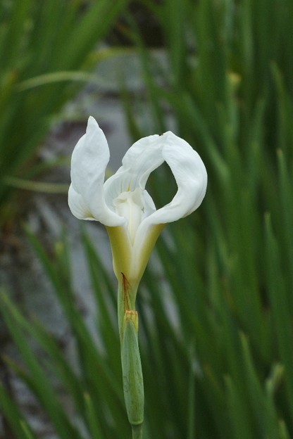 DSCF0278