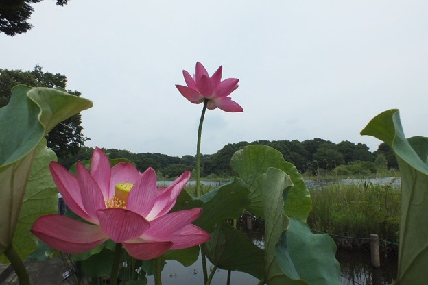 DSCF0017