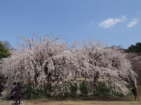 2008_03260143