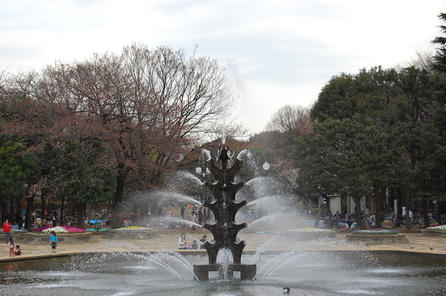 世田谷公園の噴水 写真共有サイト フォト蔵