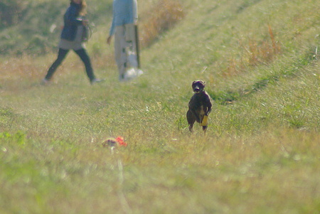 1024IMGP0997