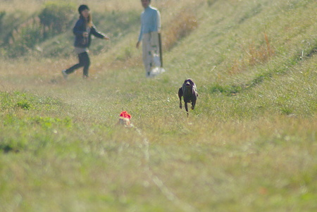 1024IMGP0996