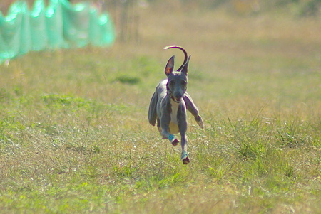 1024IMGP0795