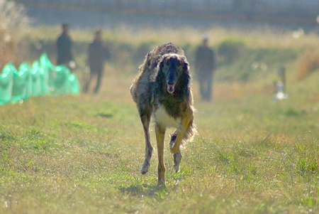 1024IMGP0725