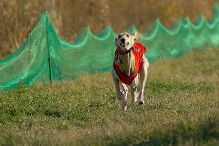 1024IMGP1258