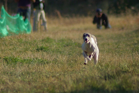 1024IMGP1216