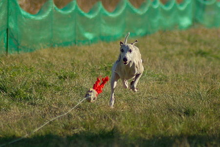 1024IMGP1154