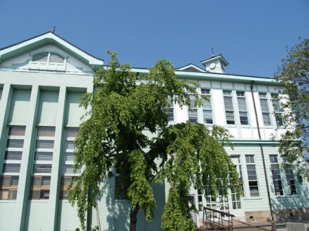 P5035078