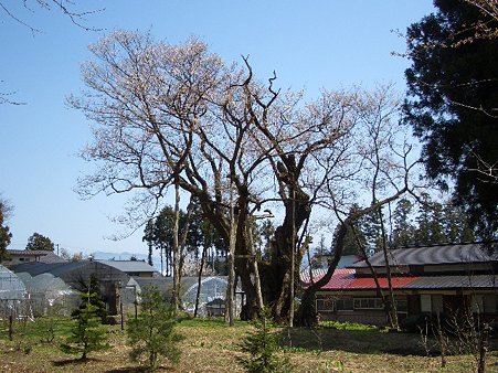 CIMG8399