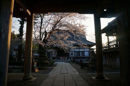 常堅寺_01