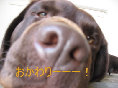 鼻デカボビー