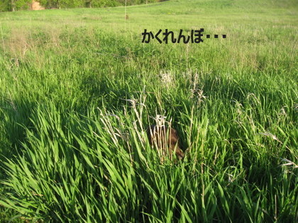 旬でごじゃる♪