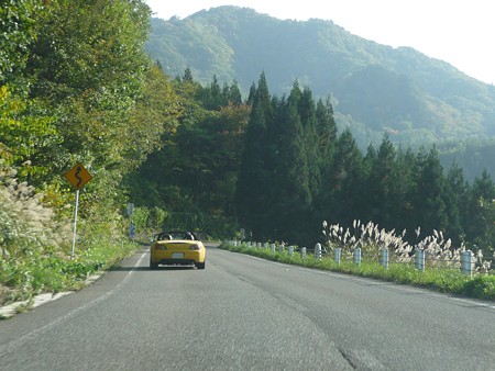 写真00491