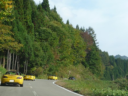 写真00516