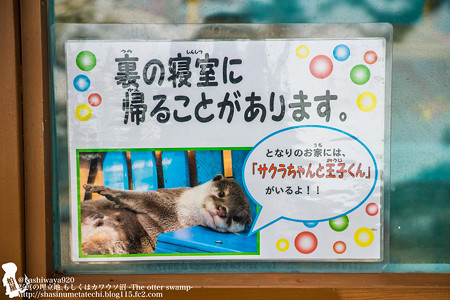 katurahama140525003