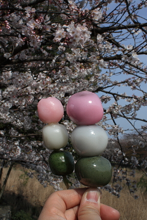 嵐山・嵐山公園にて