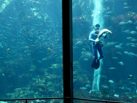 アクアドームペリー号の巨大水槽