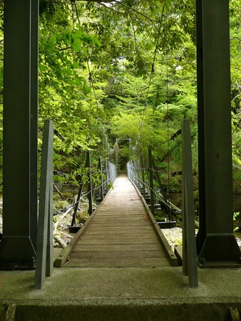 遊歩道途中の吊り橋