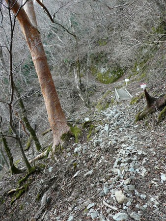 八丁池へ続くハイキングコース