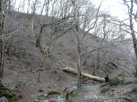 八丁池へ続くハイキングコース