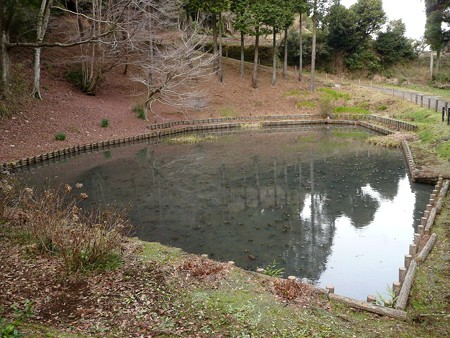 山中城跡 箱井戸