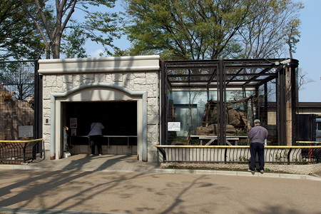 夢見ヶ崎動物公園のレッサーパンダ舎