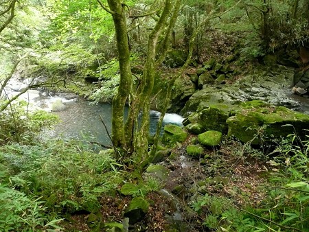 須津川上流の流れ