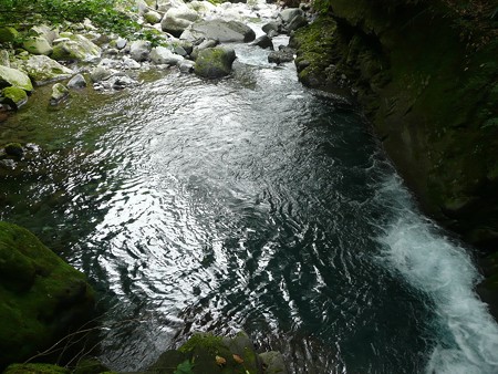 須津川上流の流れ