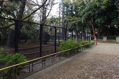 夢見ヶ崎動物公園のシカ舎