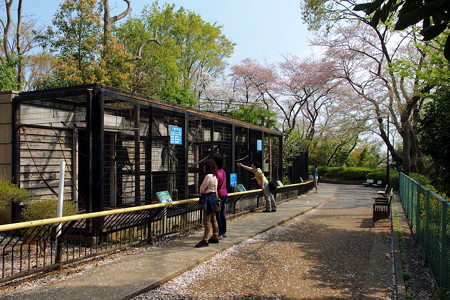 夢見ヶ崎動物公園サル舎